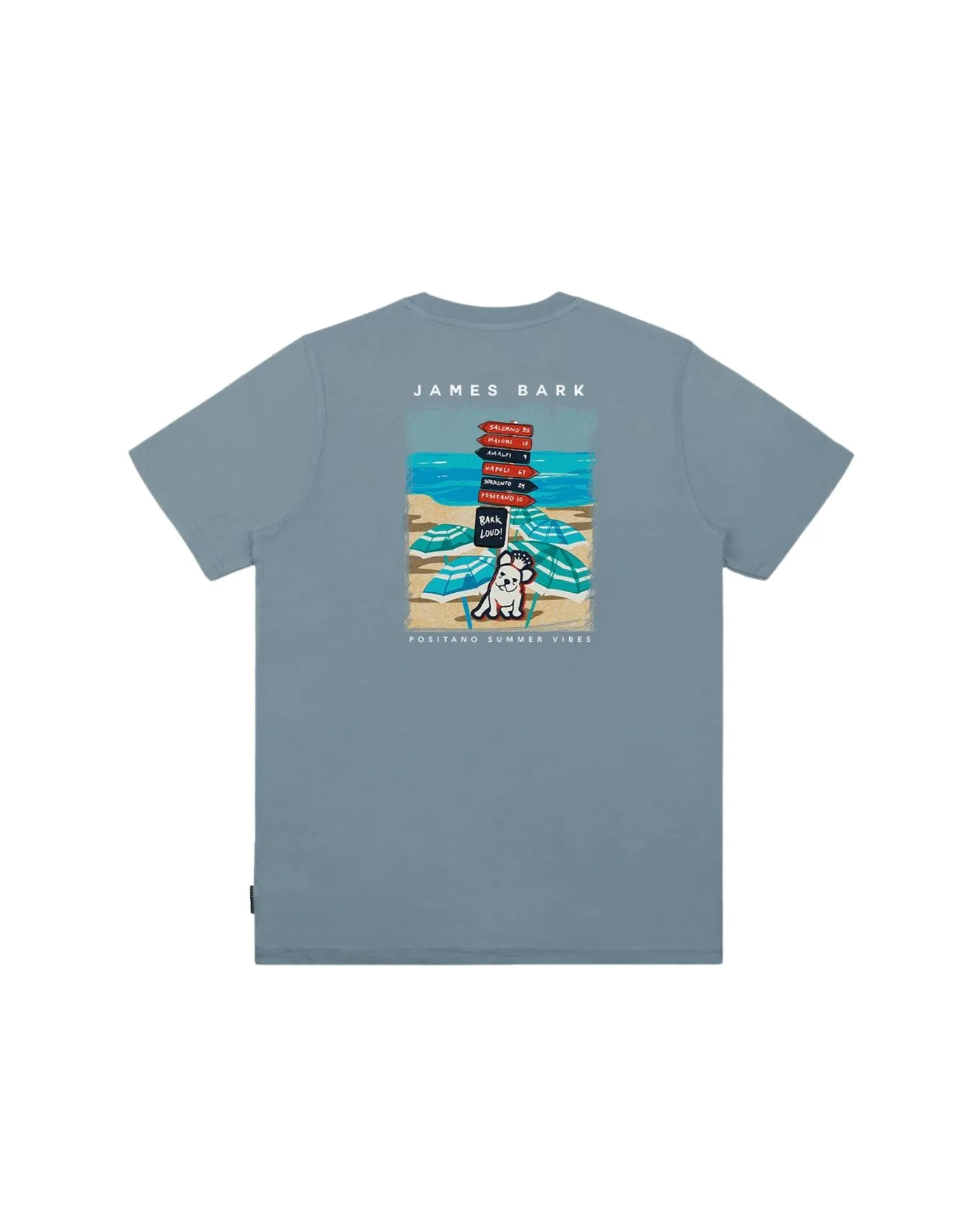 Men's Amalfi Signs Graphic Tee - Goblin Blue