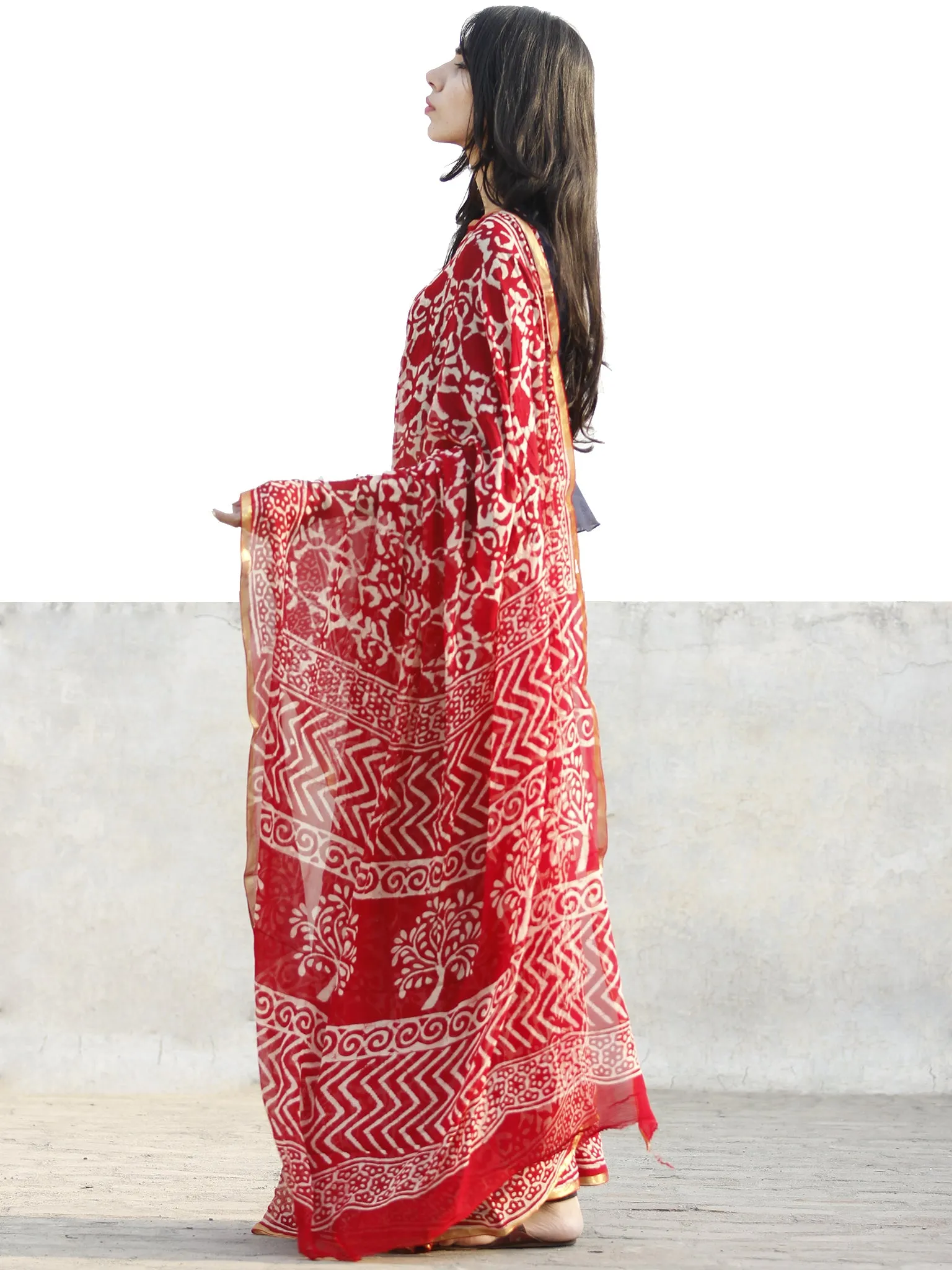 Red and White  Hand Block Printed Chiffon Saree with Zari border- S031702709